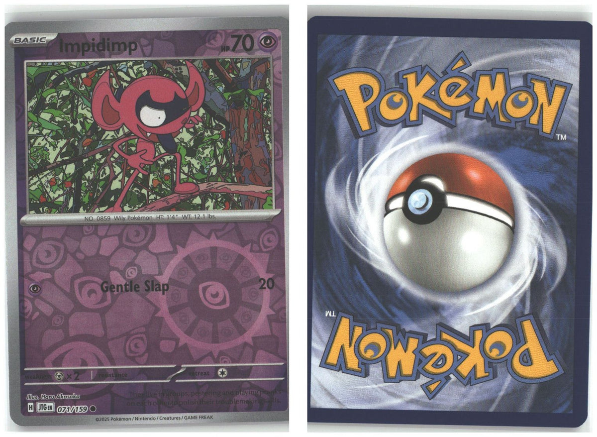 Front + Back scan