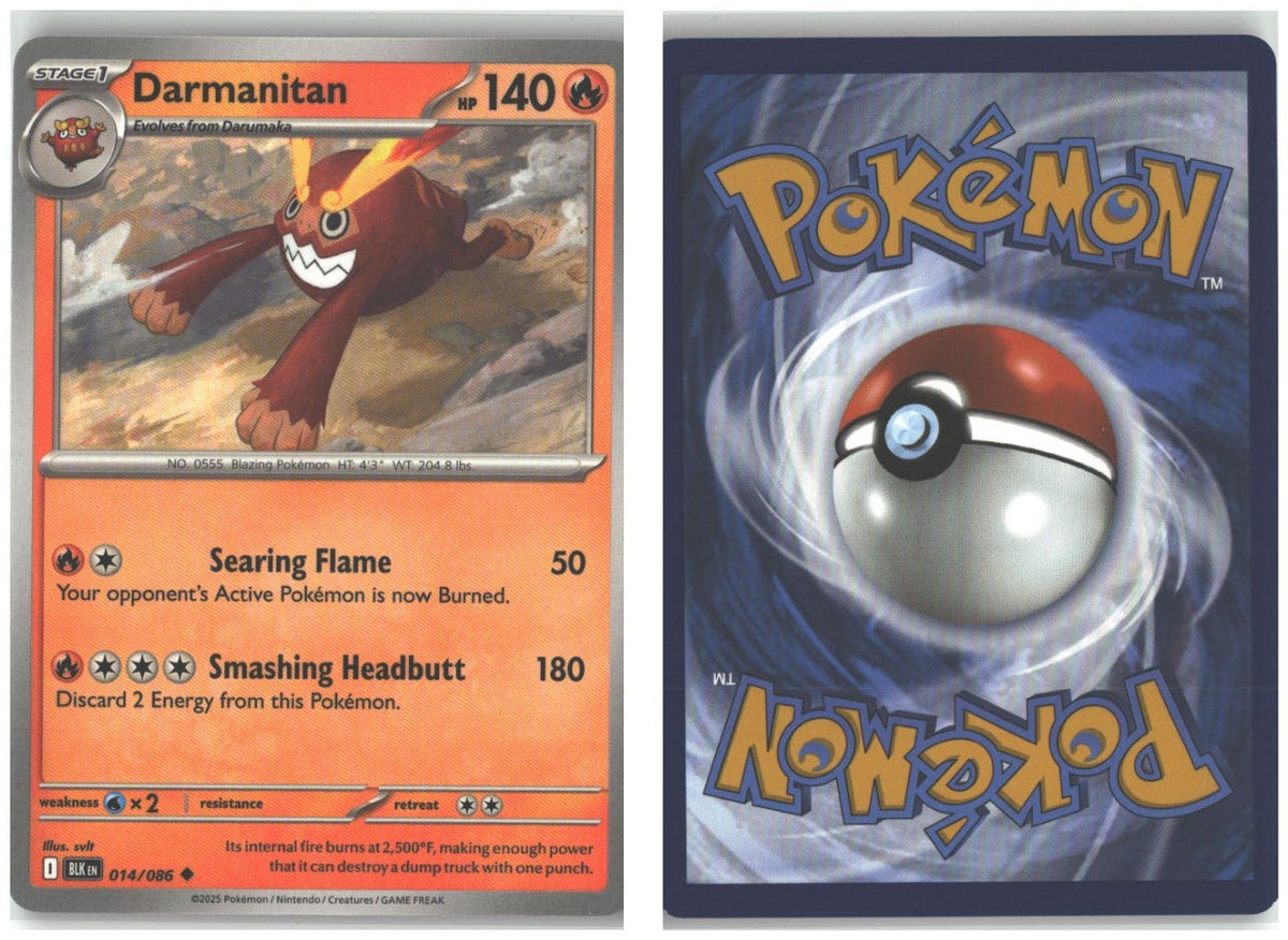 Front + Back scan