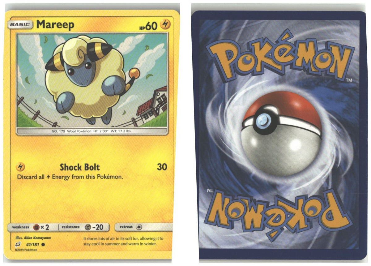 Front + Back scan