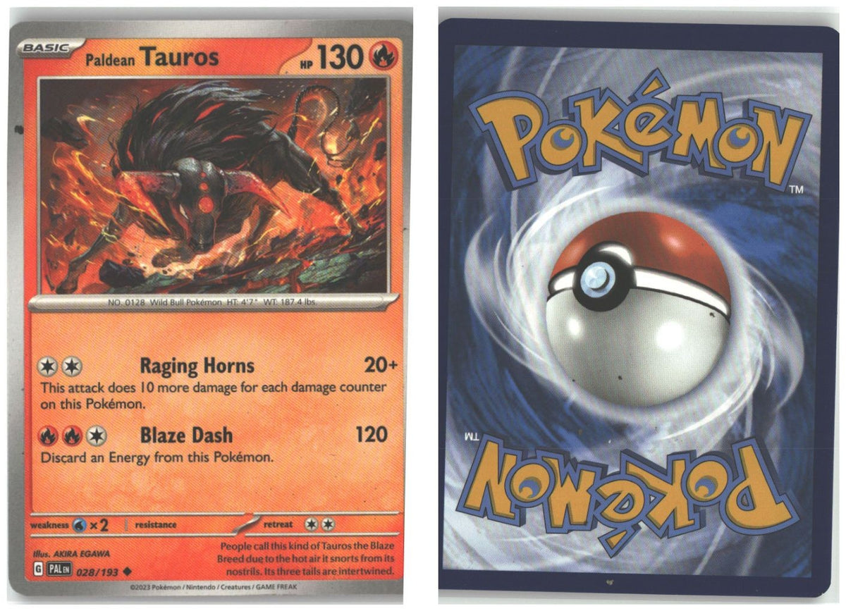 Front + Back scan