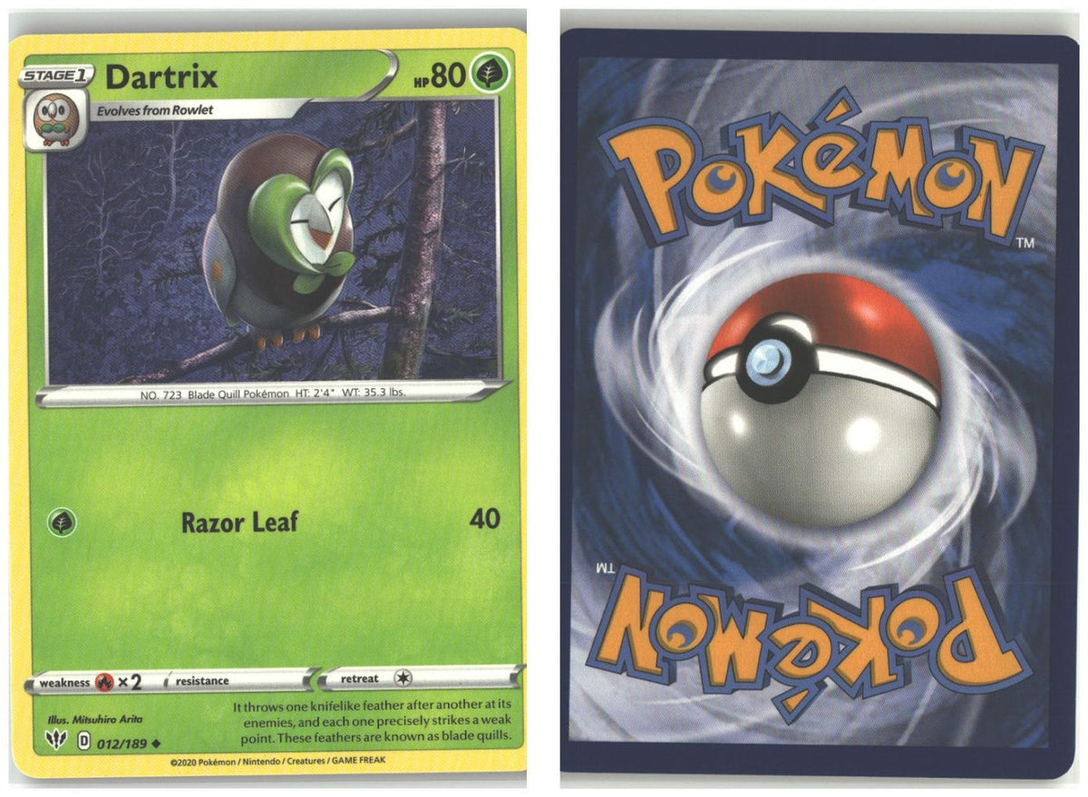 Front + Back scan