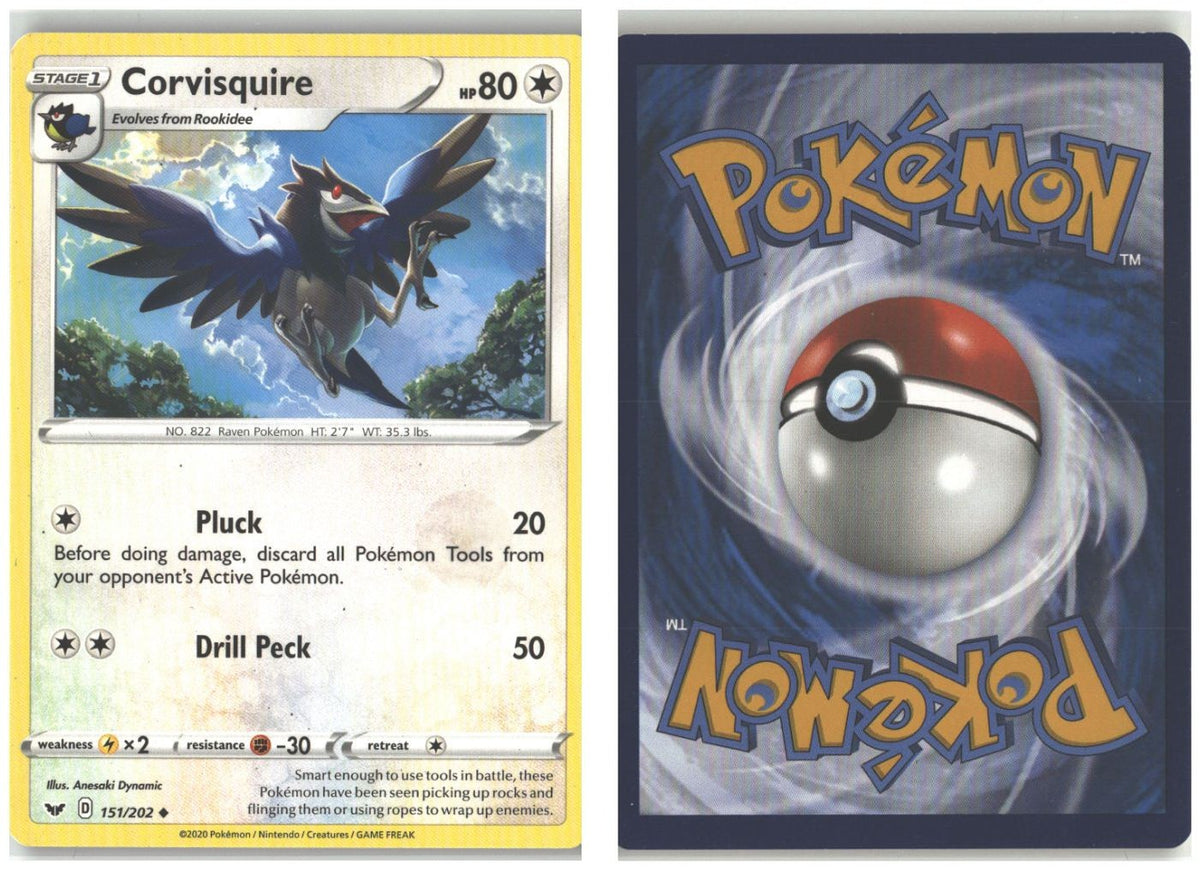 Front + Back scan