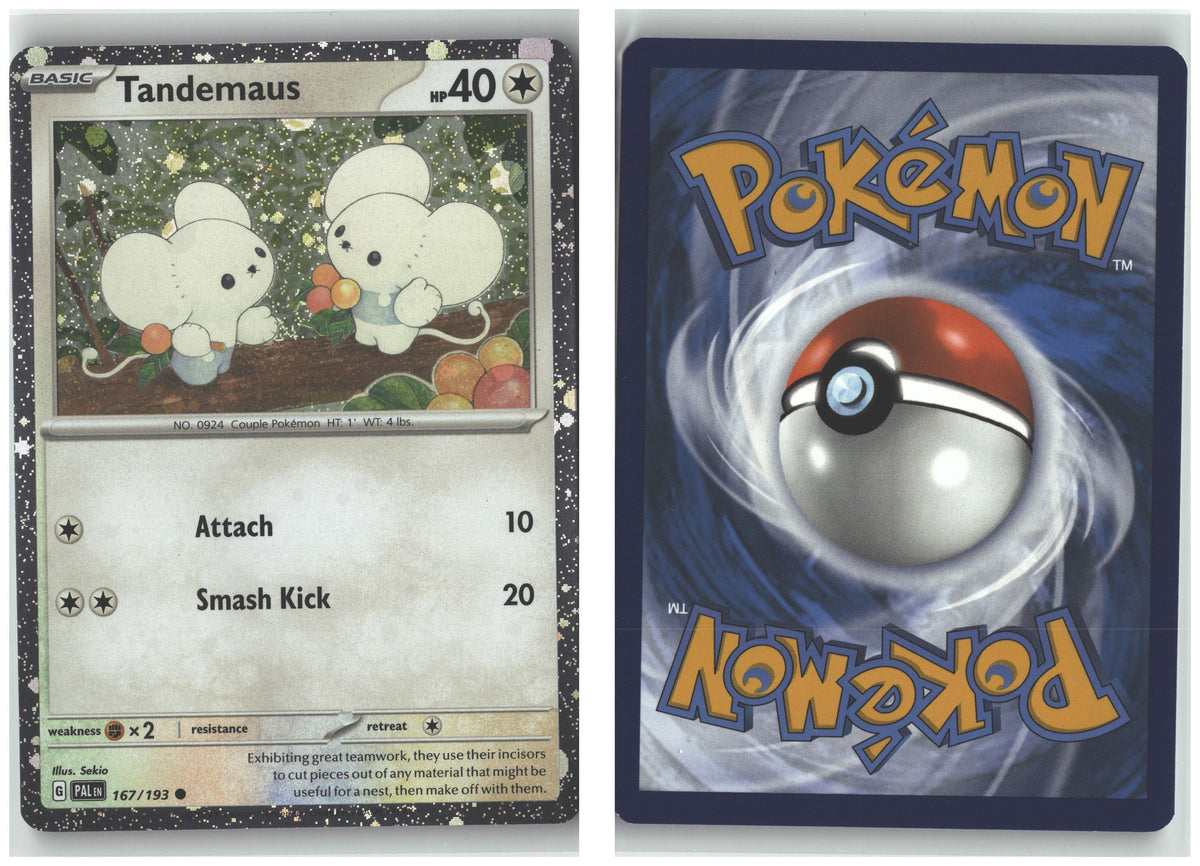 Front + Back scan