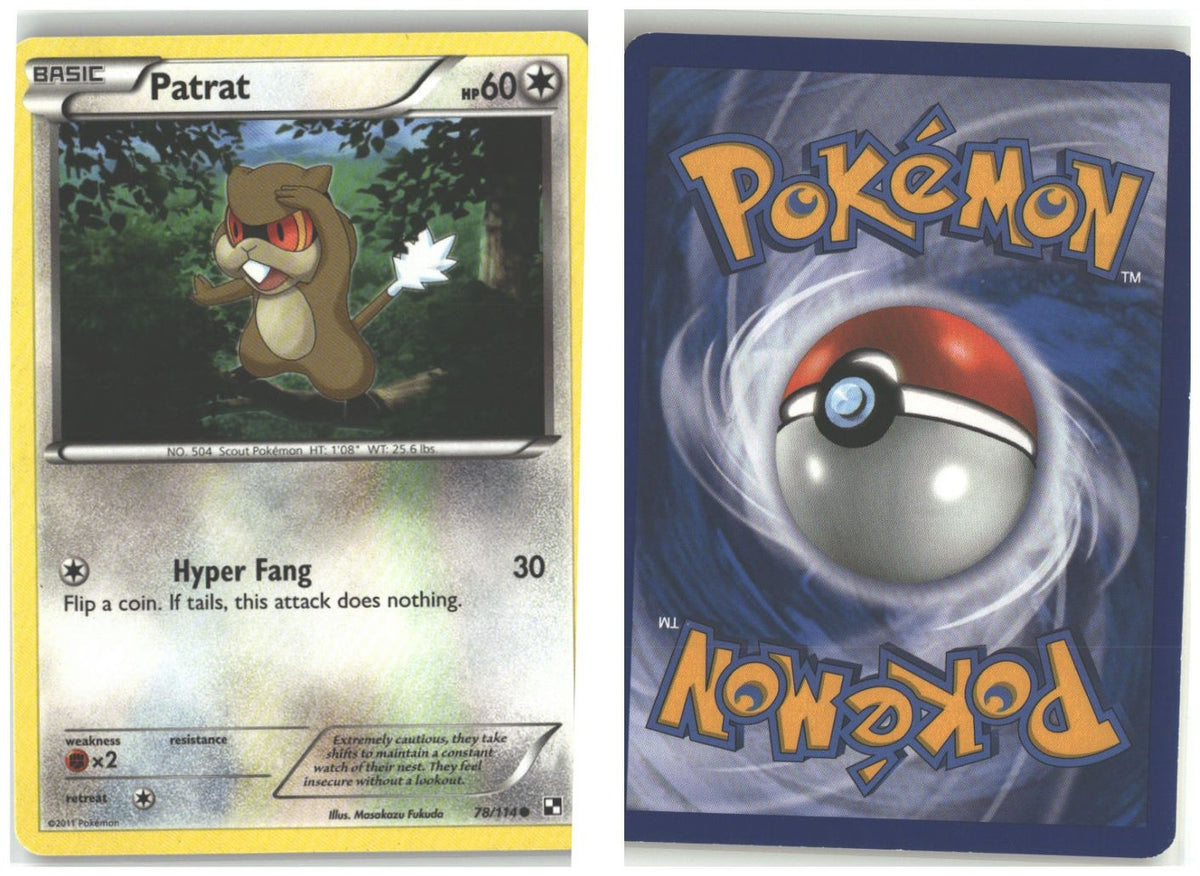 Front + Back scan