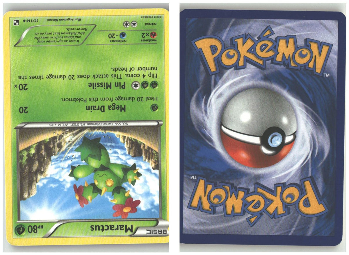 Front + Back scan