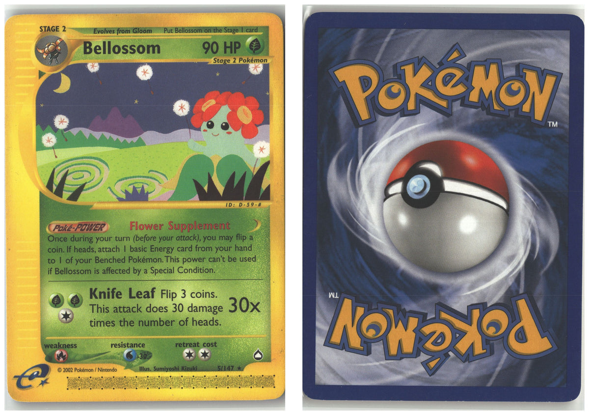 Front + Back scan