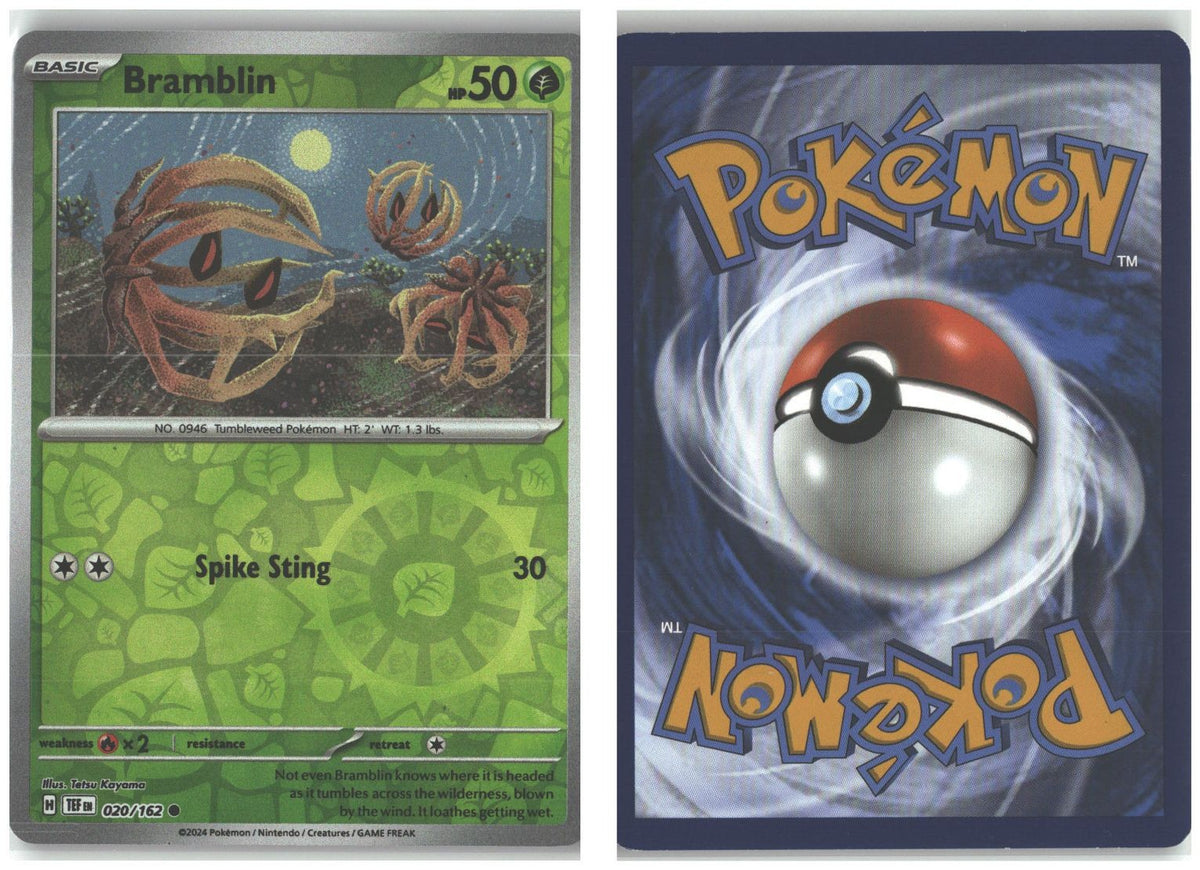 Front + Back scan
