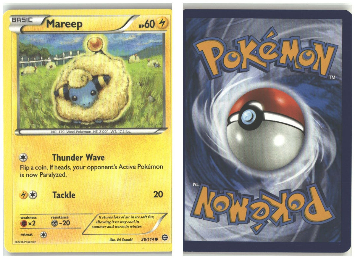 Front + Back scan