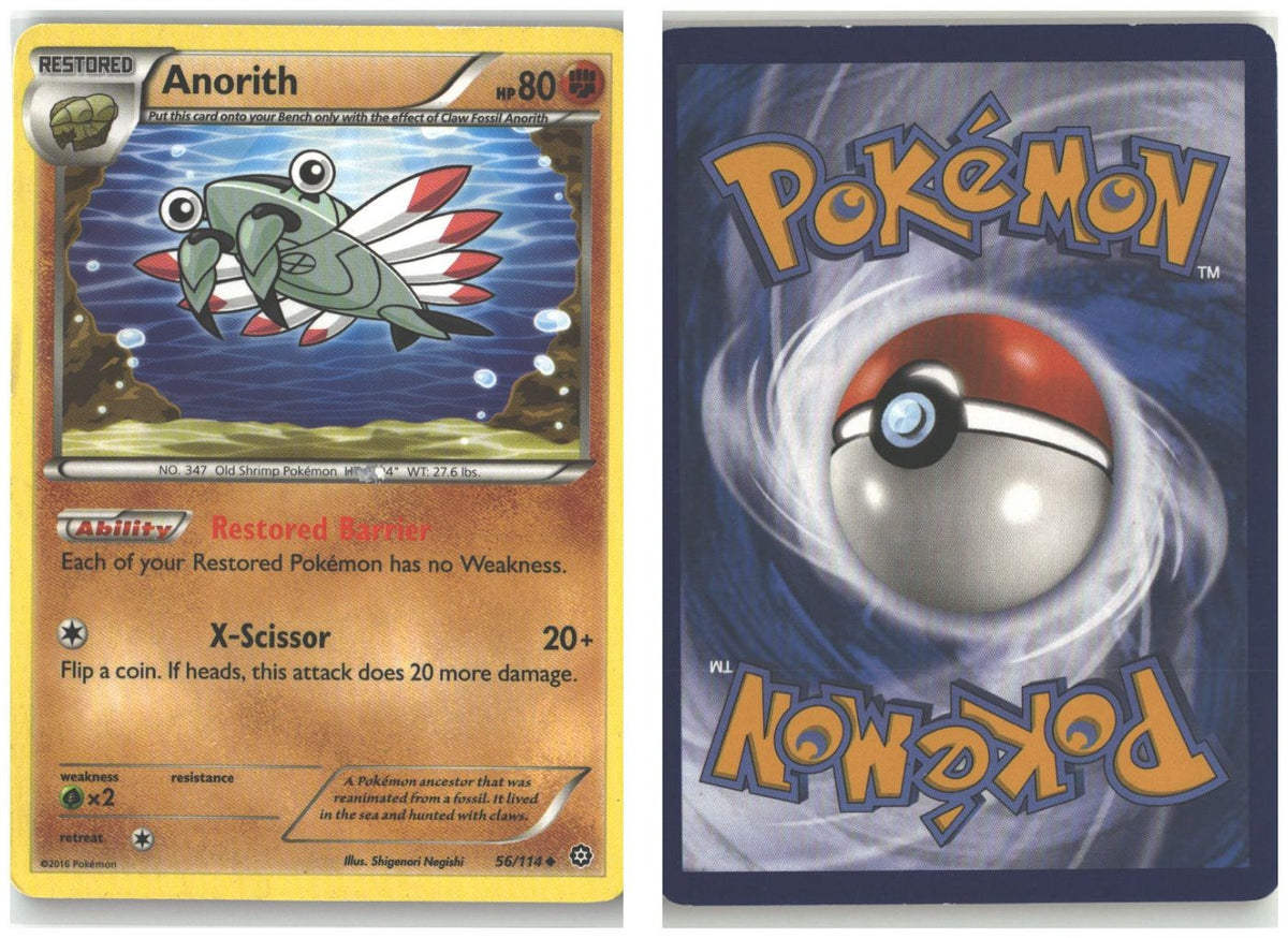 Front + Back scan