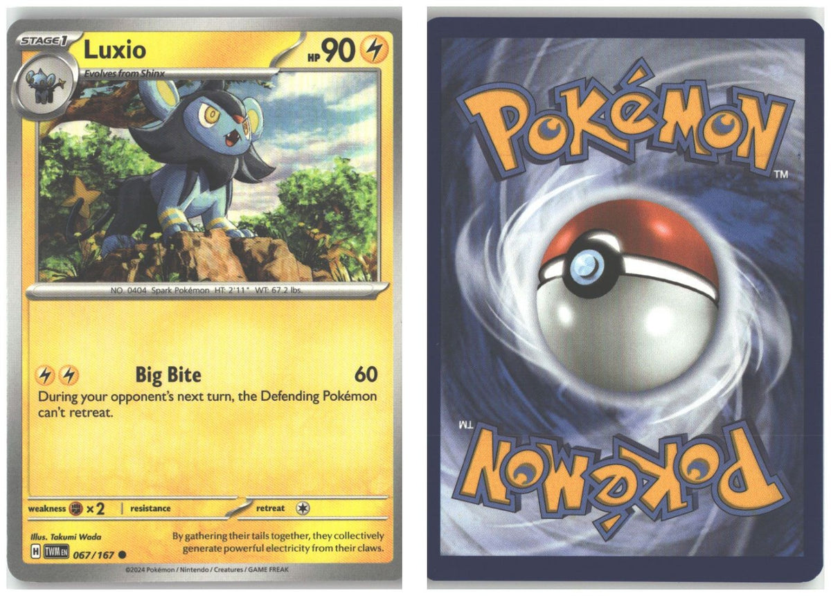 Front + Back scan