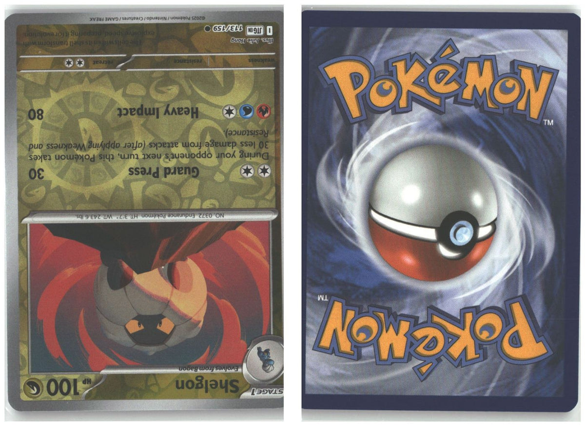 Front + Back scan