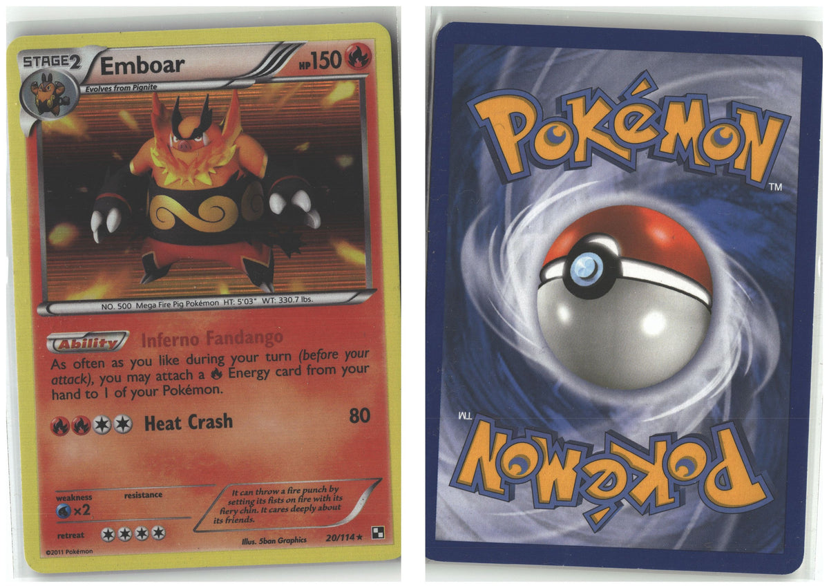 Front + Back scan