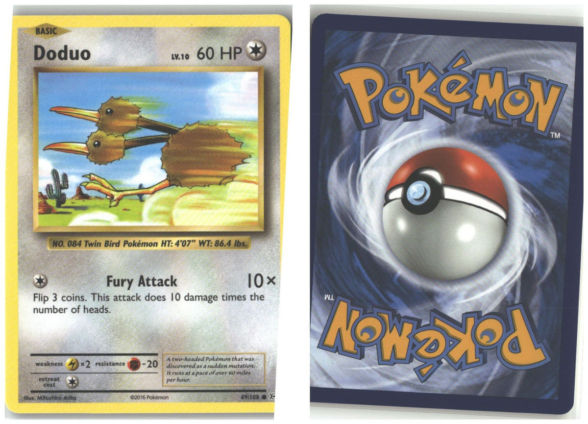 Front + Back scan