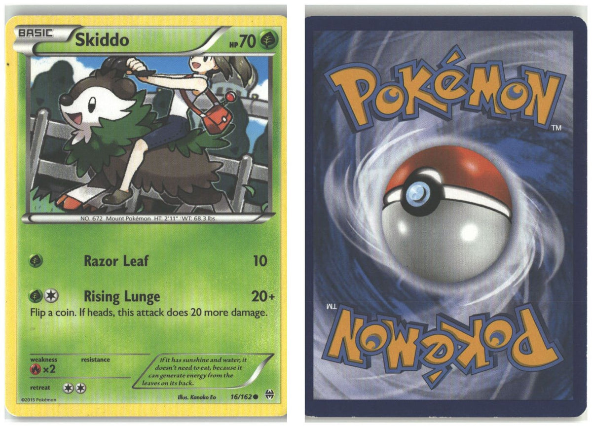 Front + Back scan