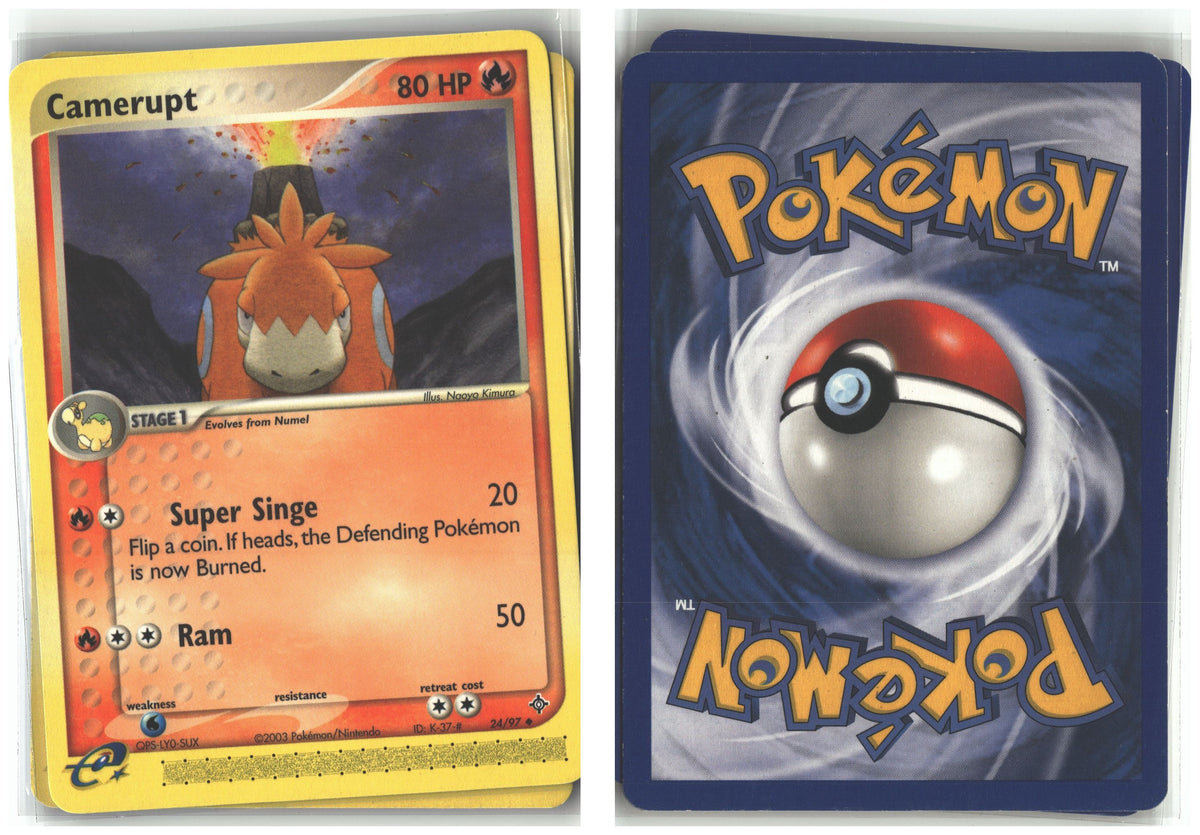 Front + Back scan