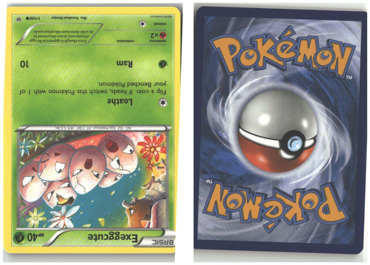 Front + Back scan