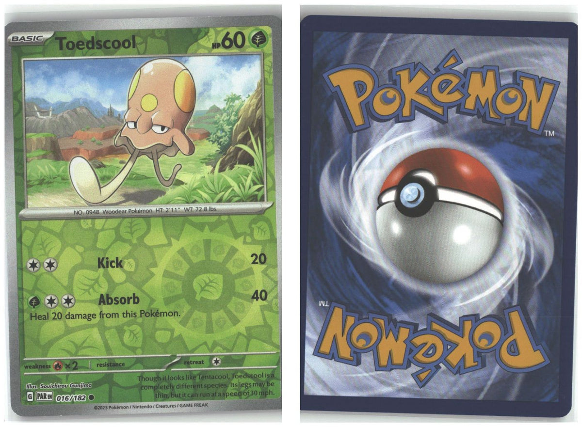 Front + Back scan