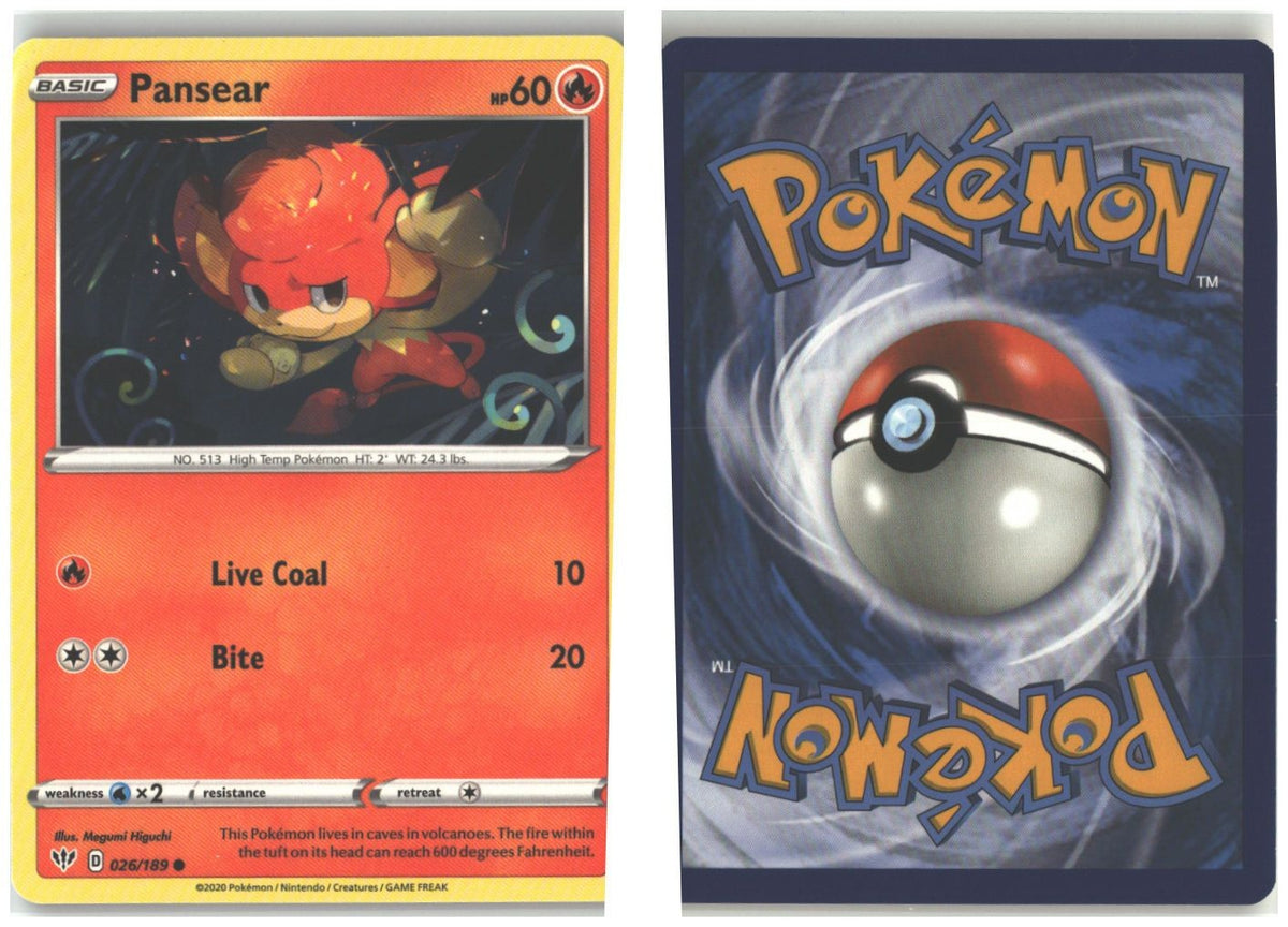 Front + Back scan