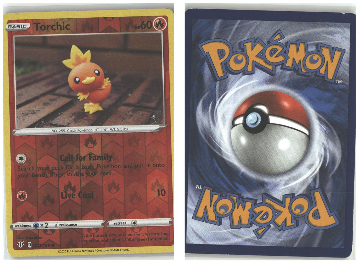 Front + Back scan