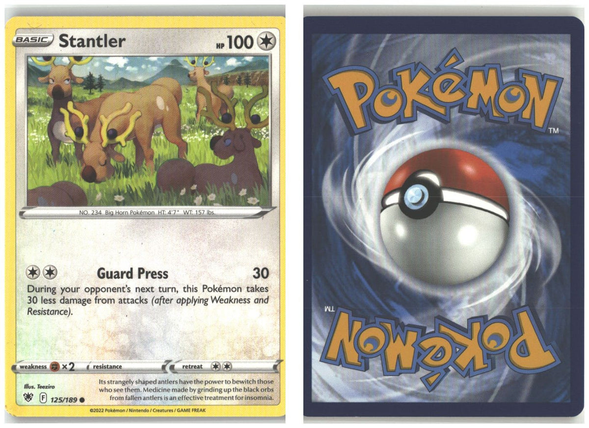 Front + Back scan