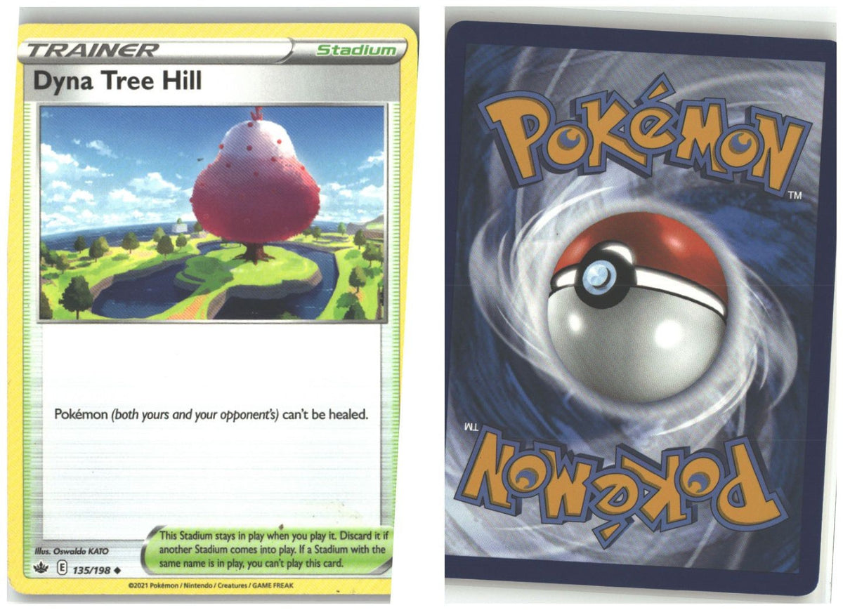 Front + Back scan