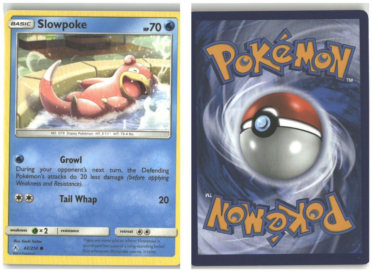 Front + Back scan