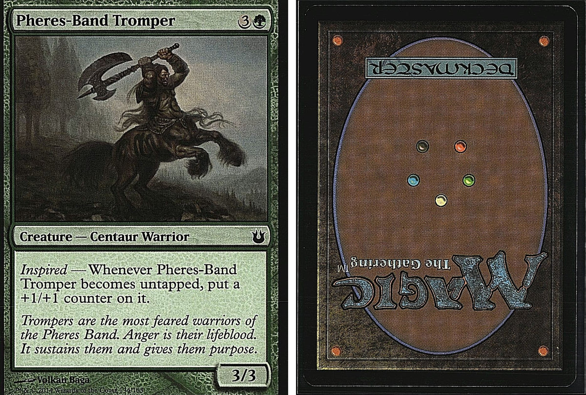 Front + Back scan