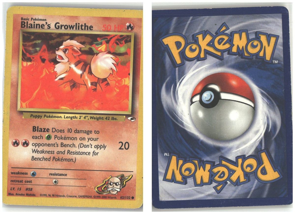 Front + Back scan