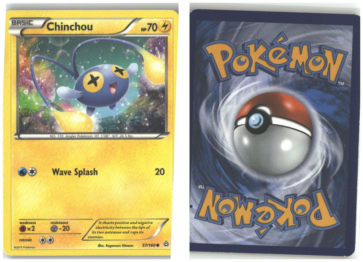 Front + Back scan