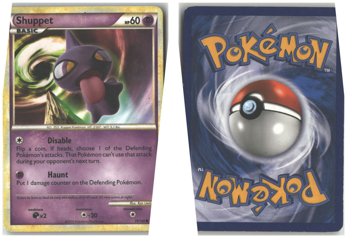 Front + Back scan