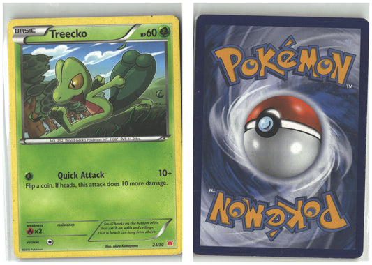 Front + Back scan