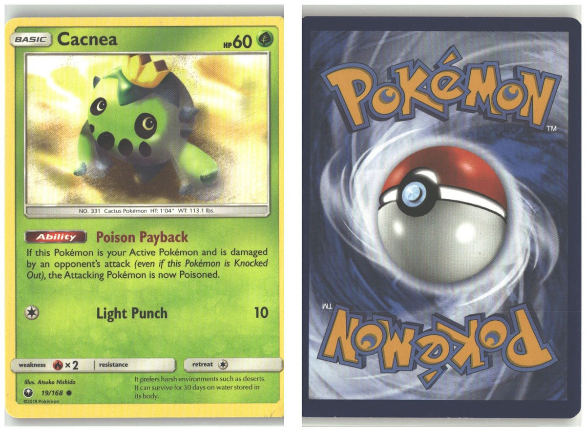 Front + Back scan