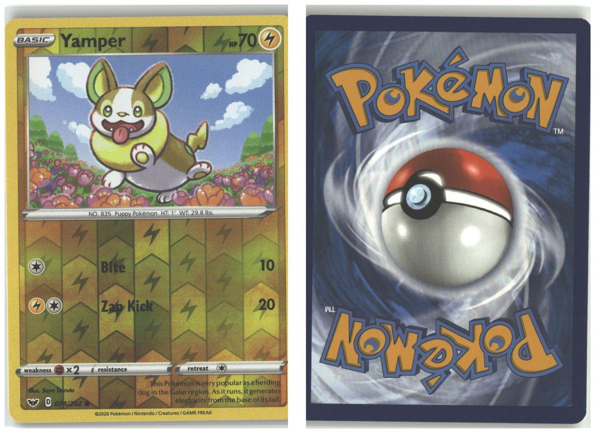 Front + Back scan