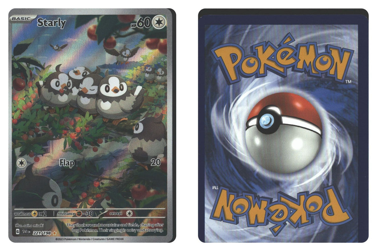 Front + Back scan