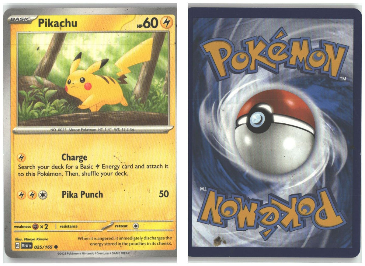 Front + Back scan