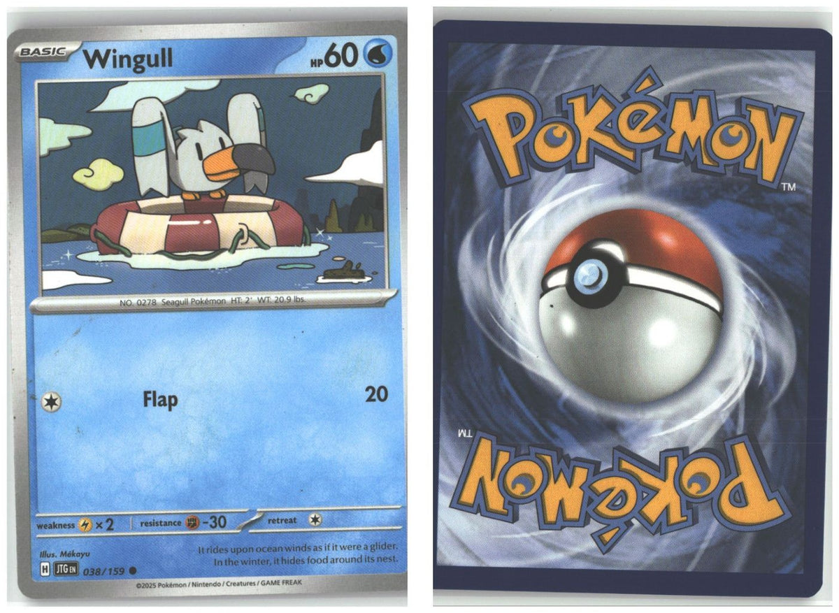Front + Back scan