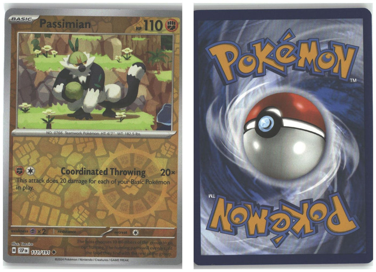 Front + Back scan