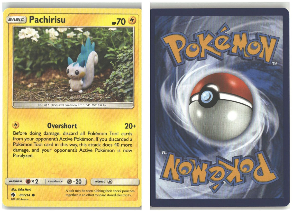 Front + Back scan