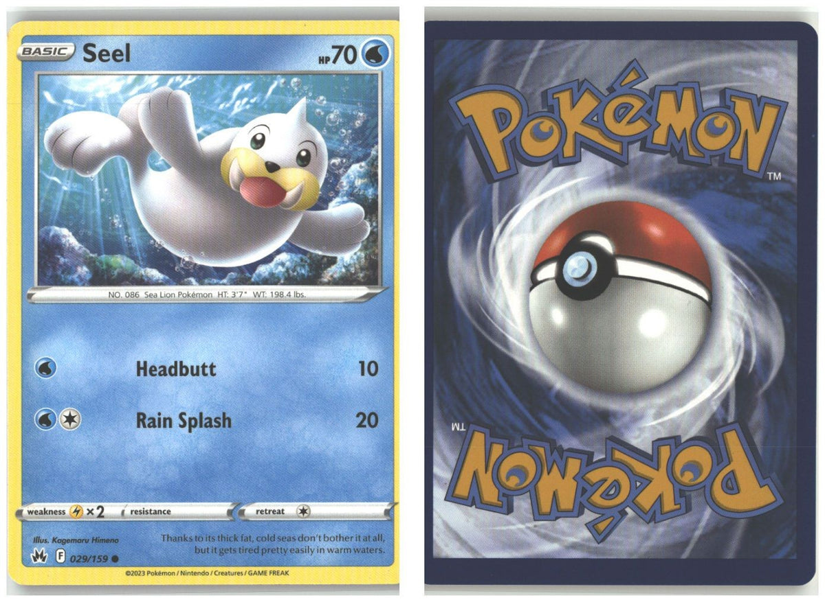 Front + Back scan