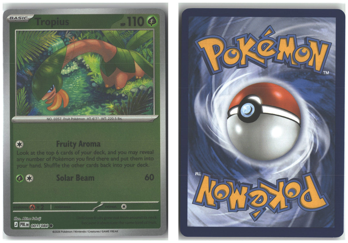 Front + Back scan