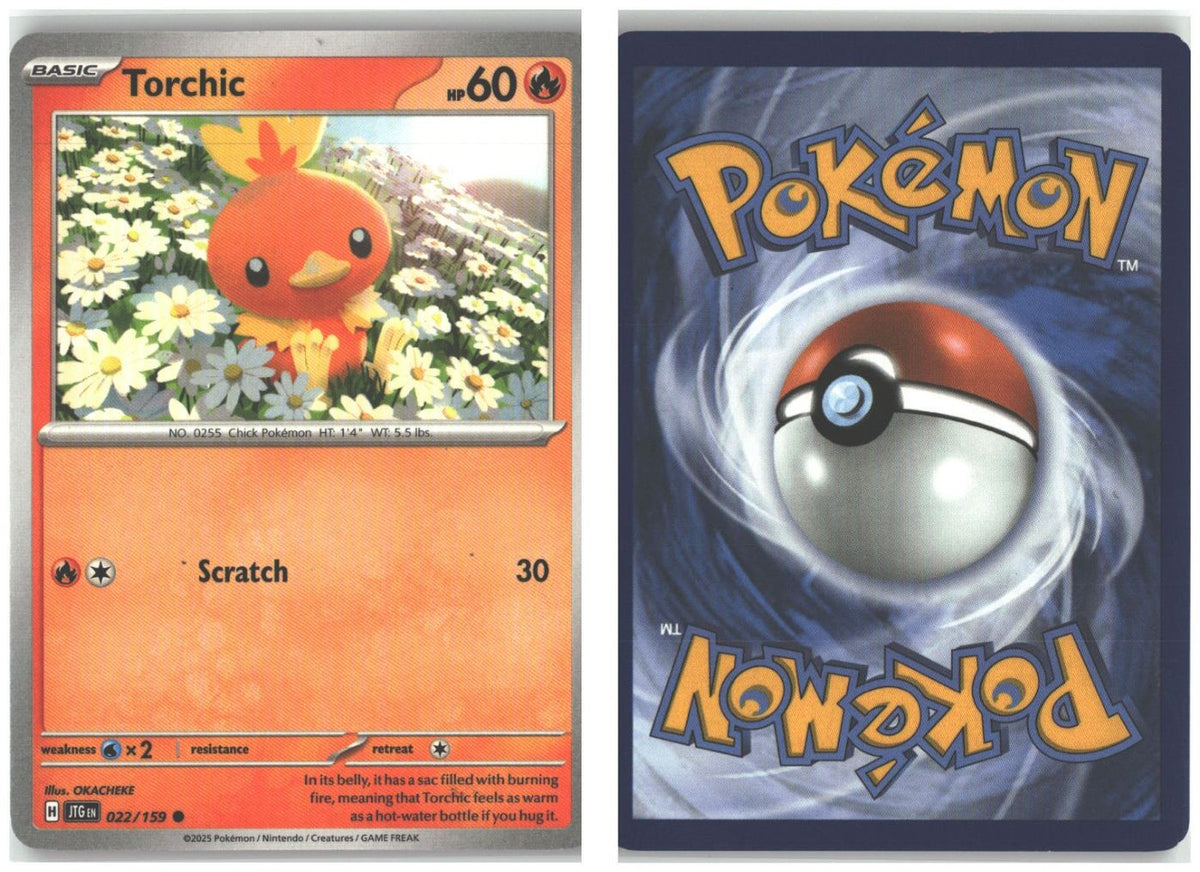 Front + Back scan