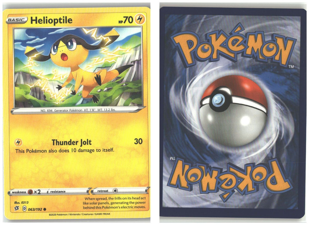 Front + Back scan