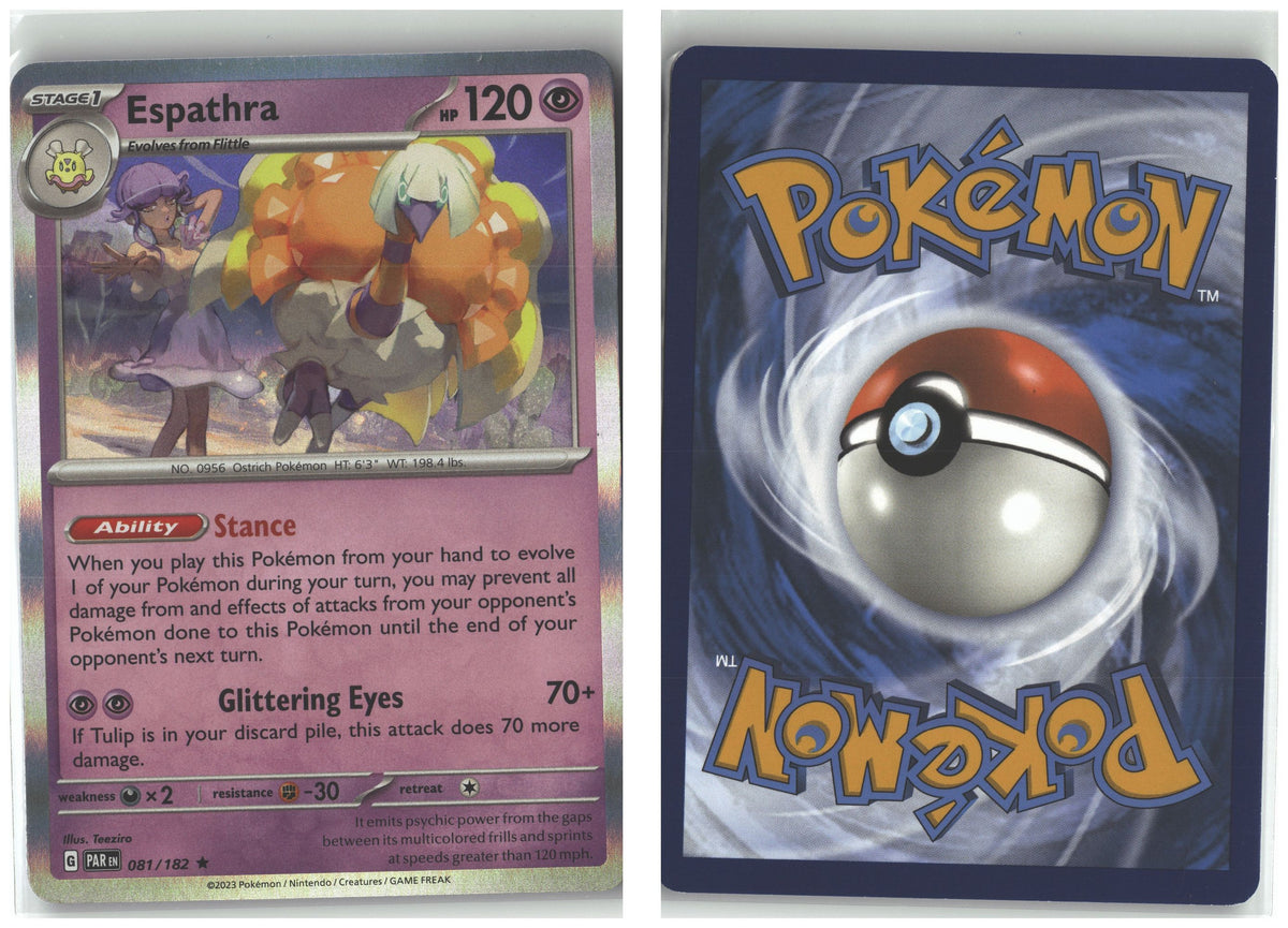 Front + Back scan