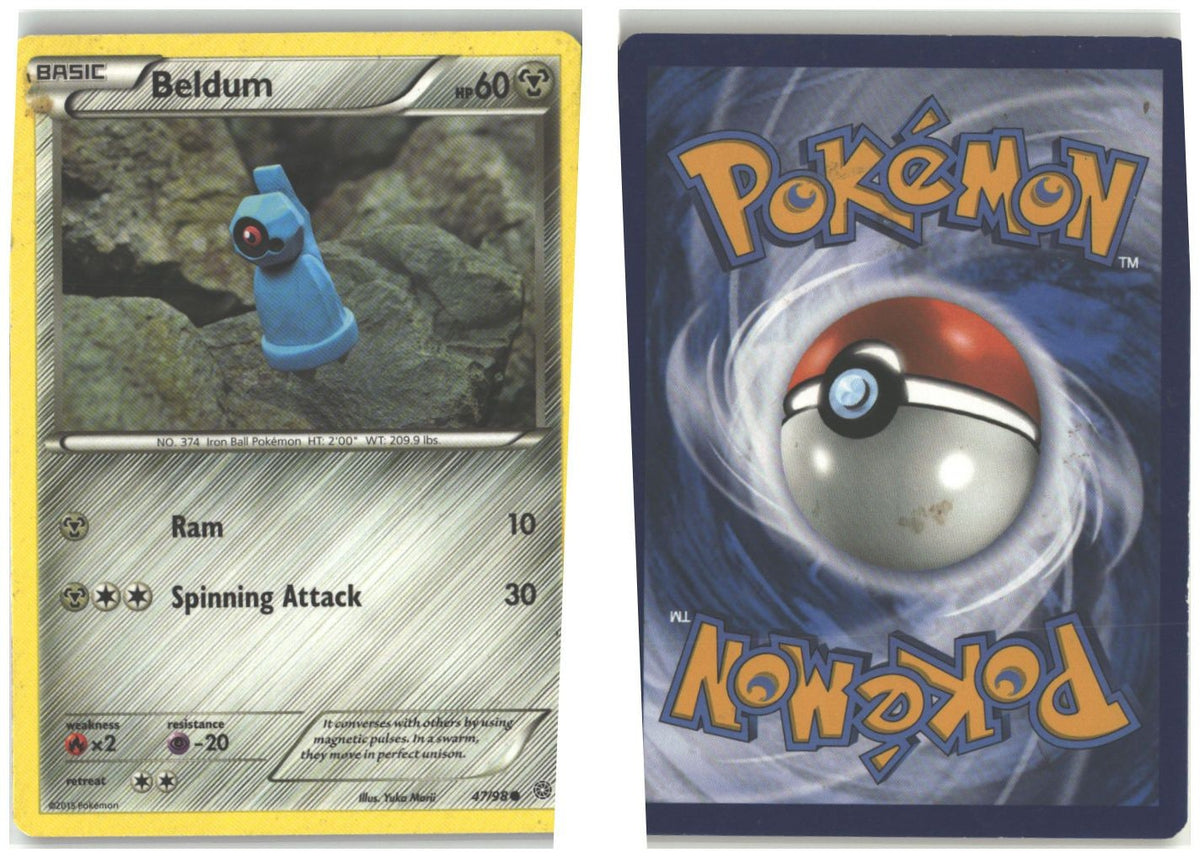 Front + Back scan
