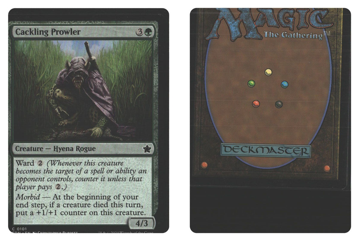 Front + Back scan