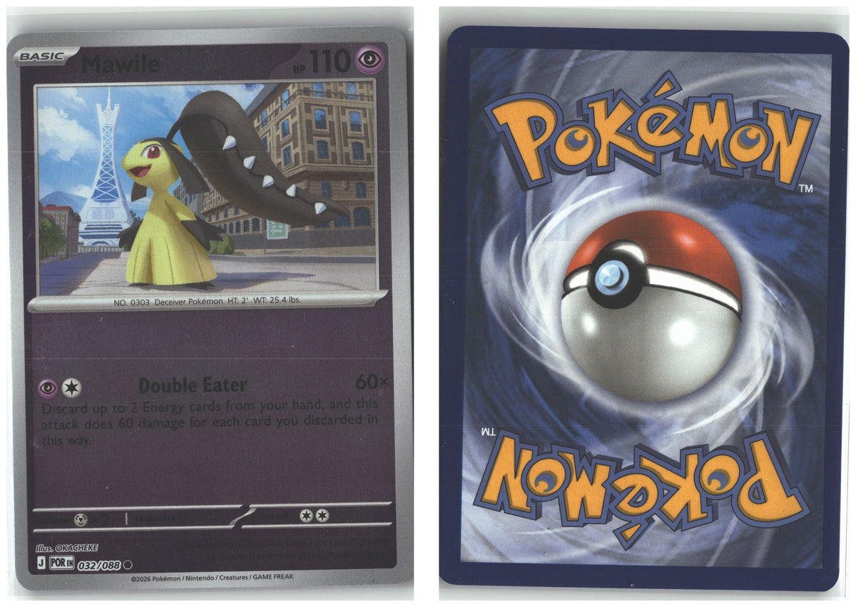 Front + Back scan