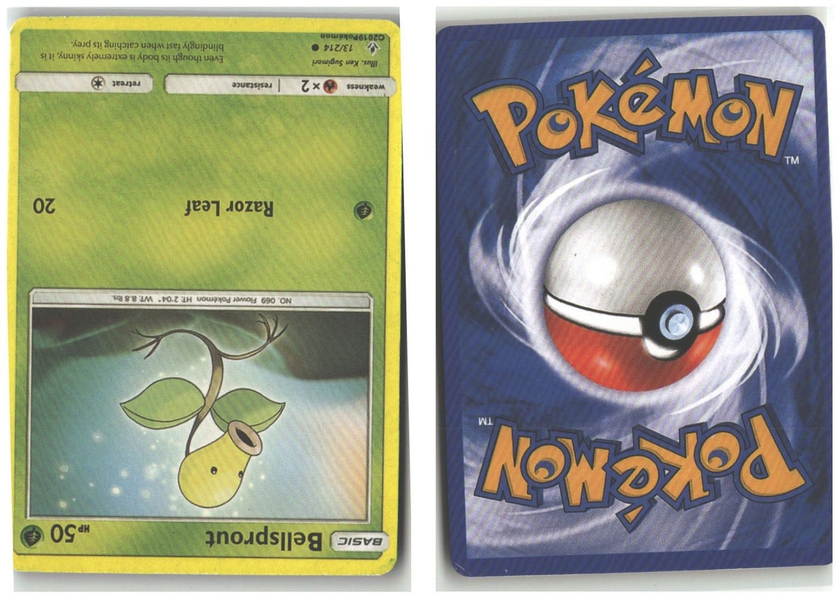 Front + Back scan