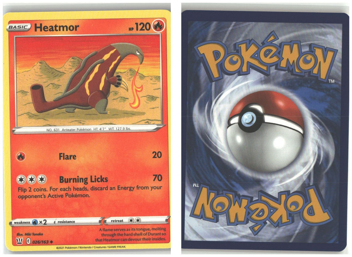 Front + Back scan
