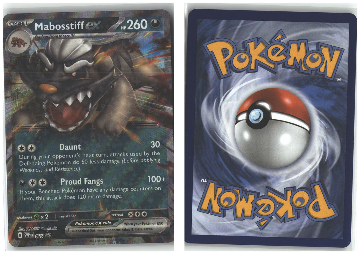 Front + Back scan