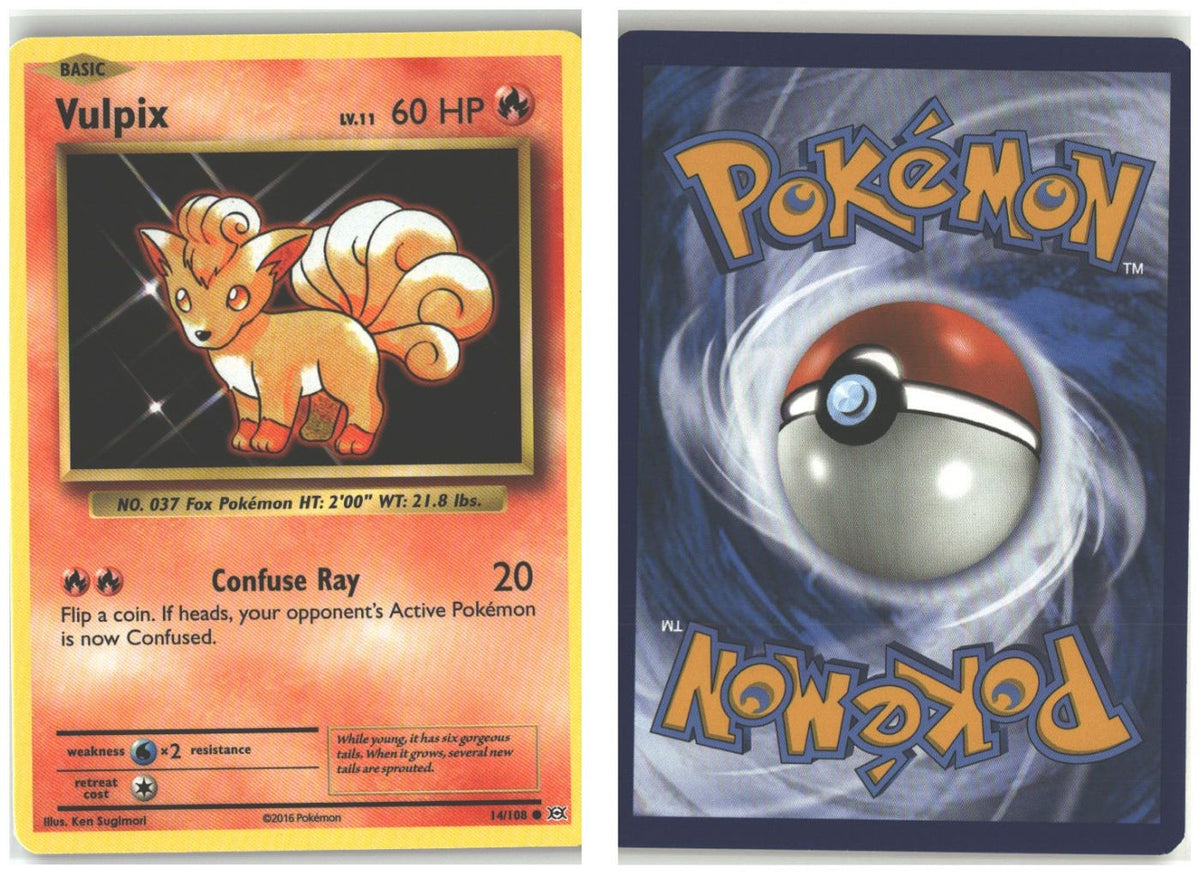 Front + Back scan